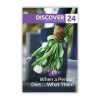 New Discover Bible Guide Lesson 24